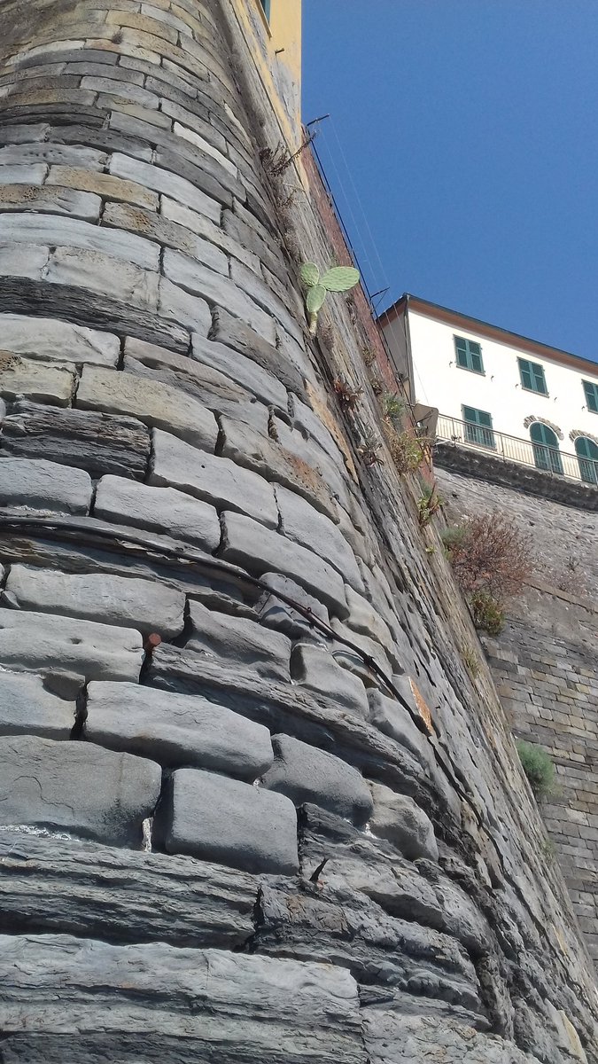 Muraglione della ferrovia Vernazza