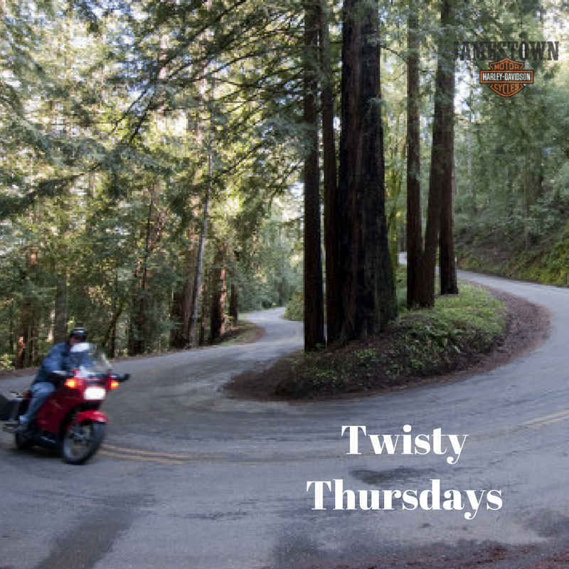JamestownHarley's tweet photo. Twisty Thursdays are a great day to ride! #livetoride #ridetolive #harleydavidson https://t.co/KdfvTNntFL