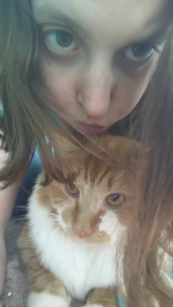 Stephan06841218's tweet image. Me and tiger love dean ambrose mine husband