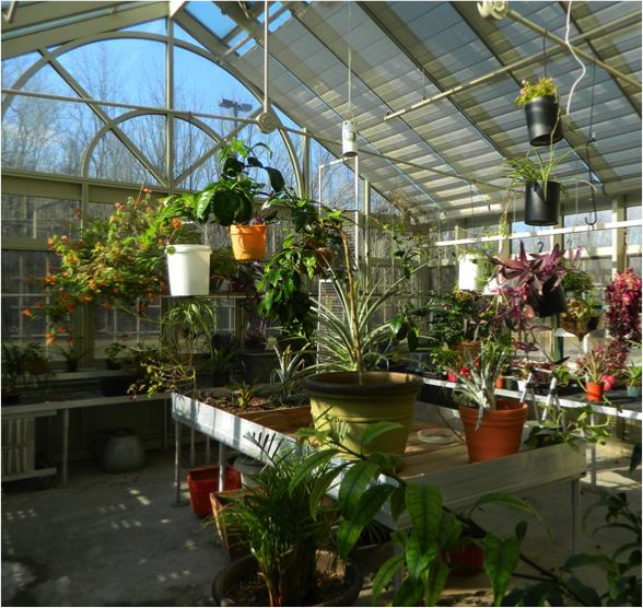 AECdaily's tweet photo. What type of greenhouse lets a homeowner harvest fruits and vegetables in the midst of a blizzard? https://t.co/nI2g6dCM7K @SlrInnovations https://t.co/bNsVBsTpyI