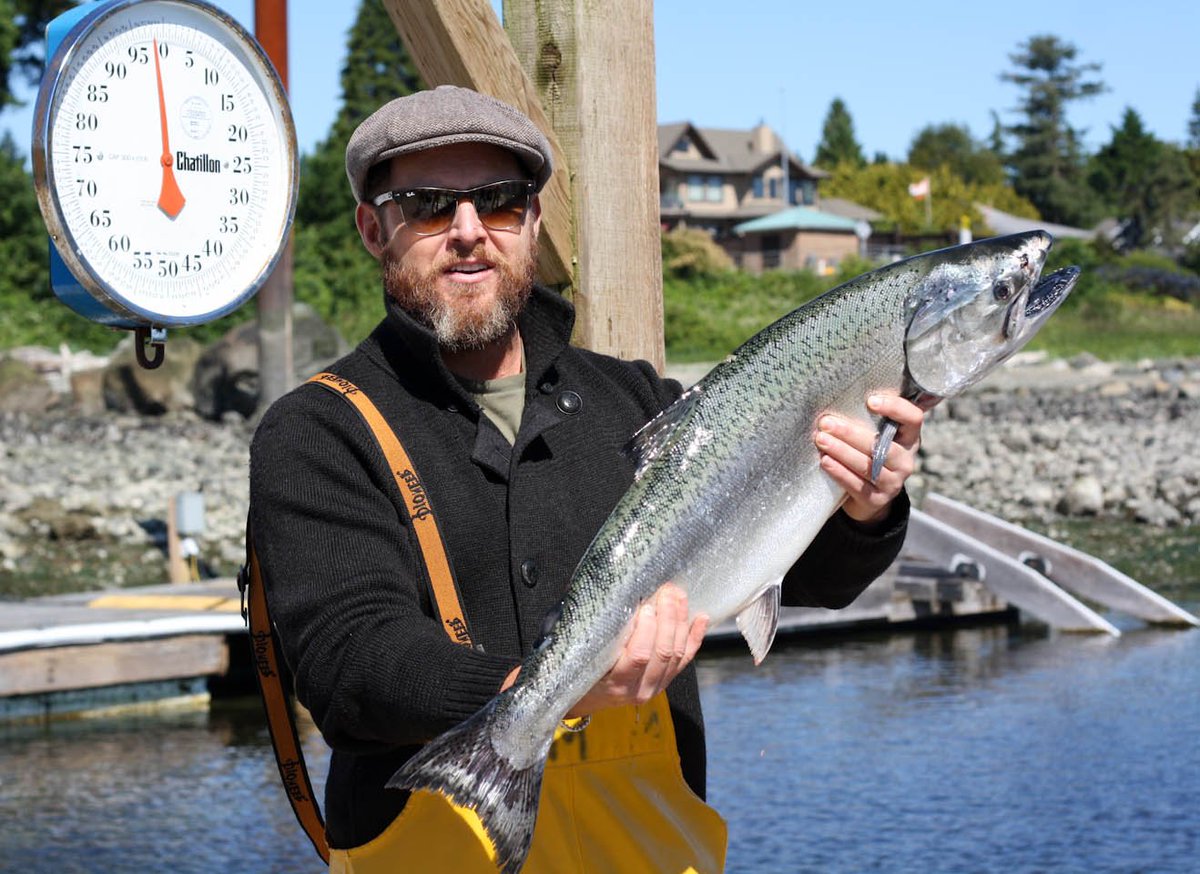 Catch of the day pic, courtesy of <a href="/AjohnBuckley/">AJ Buckley</a>. It's a beautiful day for fishin'! #guidedfishingtours #painterslodge #vancouverisland