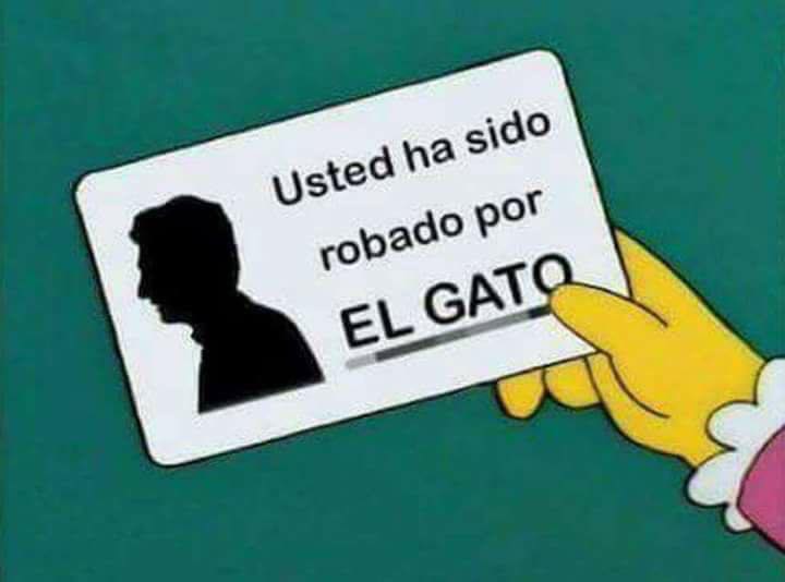 LuisoBarbieri's tweet photo. #Macri #Gato https://t.co/CuqalOdcSE