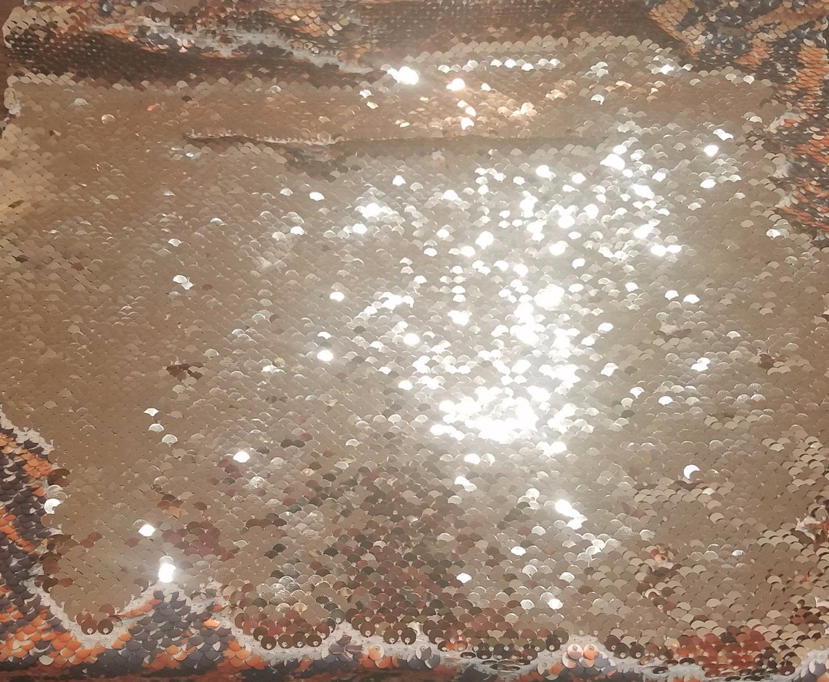 BNBTextiles's tweet photo. GOLDEN TIGER https://t.co/pqSJb5Ptfz
#NewArrival #sequins #flip https://t.co/3ygsMEnZ6g