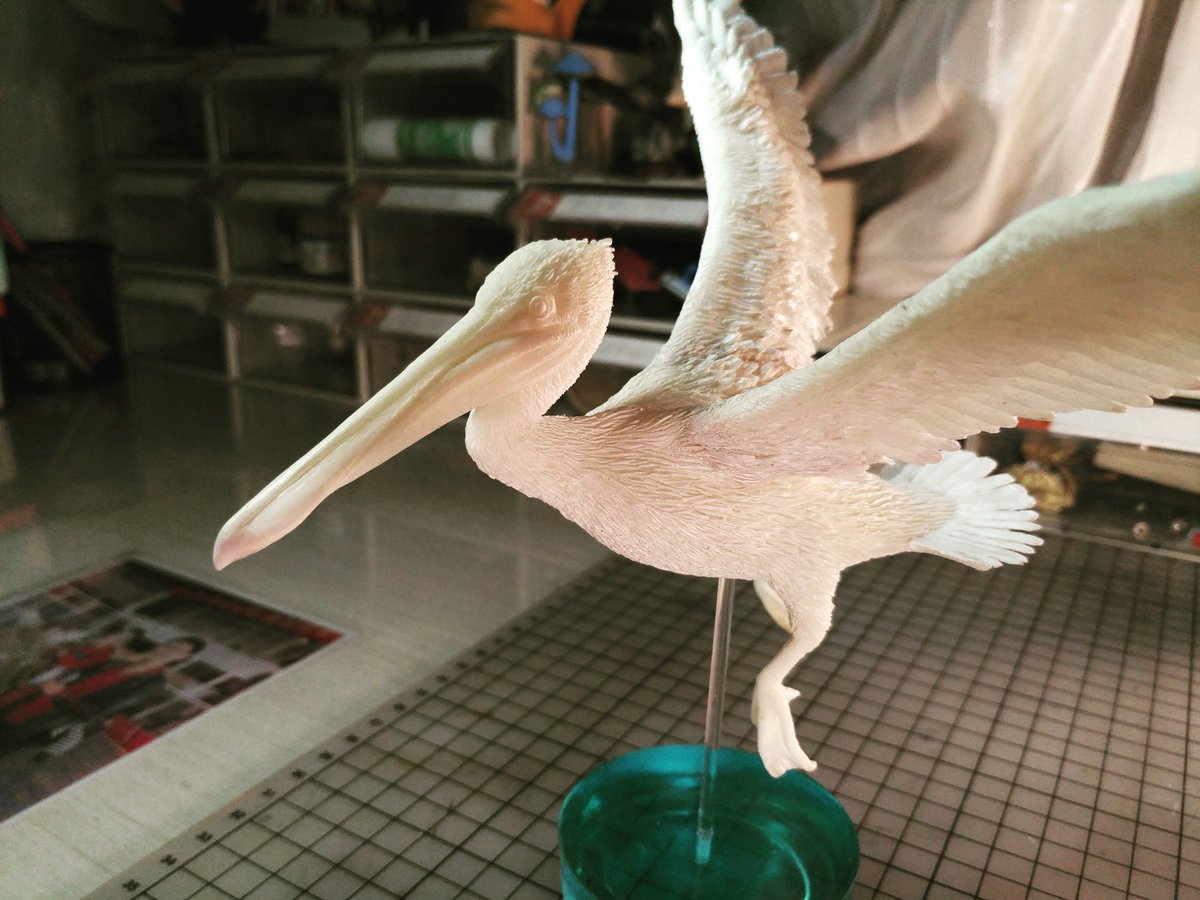 MarsJerryXuan's tweet photo. pelican https://t.co/bUuaoU4VWP