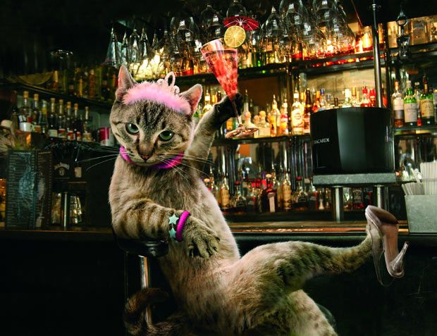 TheClowderBand's tweet image. SO CLOSE! Just one day until our big show at @cubbybear tomorrow night - definitely not to be missed. Here's the plan: