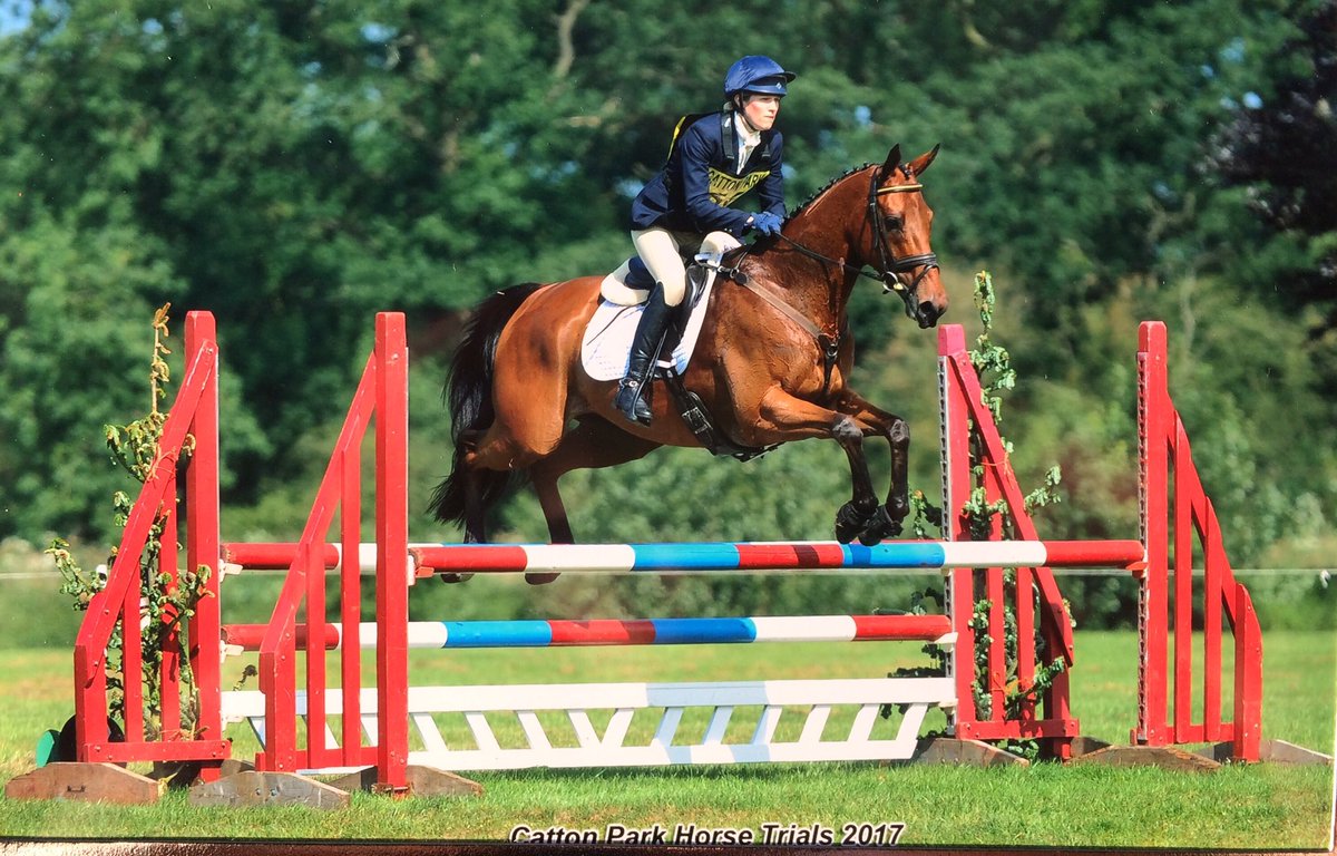ailsamclagan's tweet photo. Harry flying round @CattonParkHT at the weekend. Great day at one of my fav events, fab course &amp; ground was perfect even with the heat! https://t.co/uc0hwu52aB