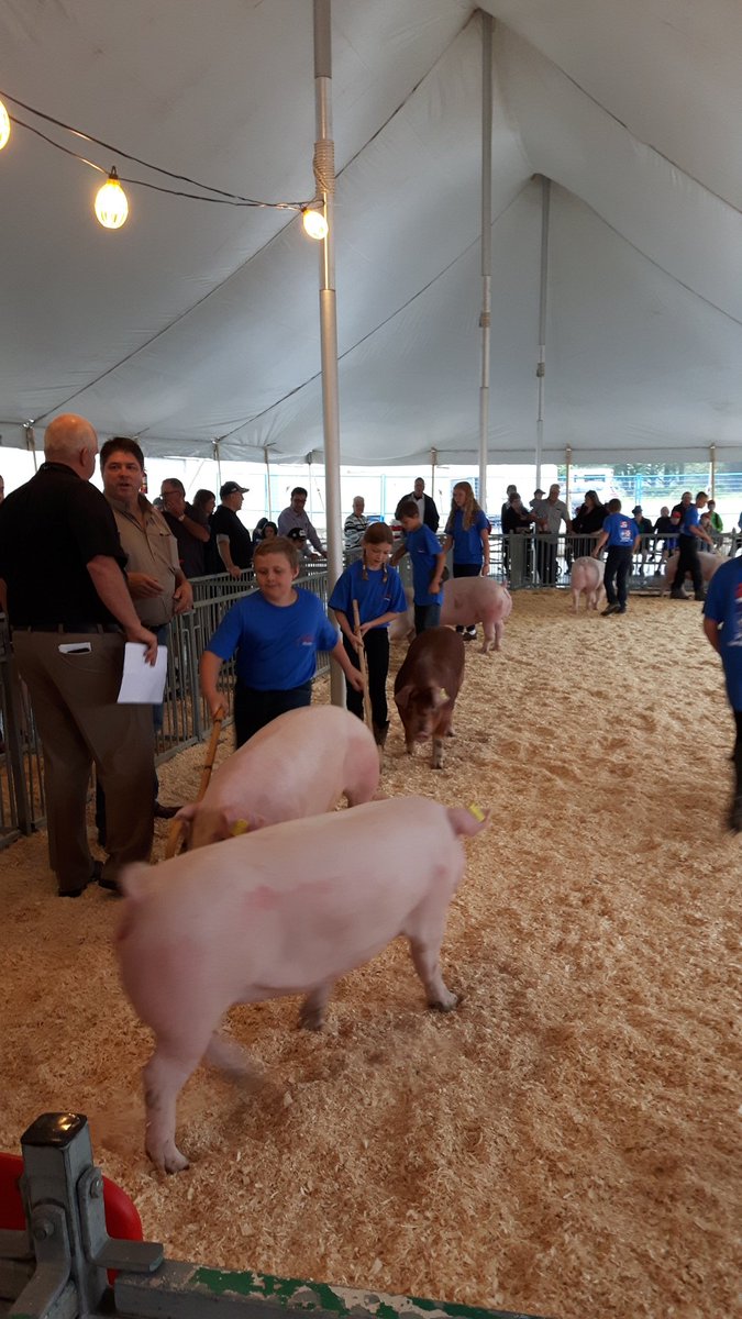 BCNmkr2's tweet photo. Thanks for another great Bacon Maker Classic. What a great day for the kids! ๐
#OPC17 https://t.co/l7kE9Qge9h