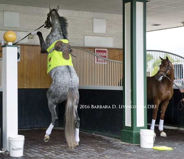 Lisa Frieze 💙🇺🇦💛🙏 tweet media