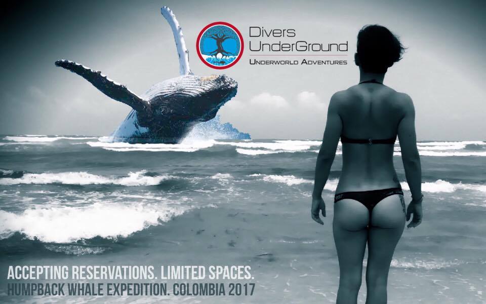 CaveInstructor tweet picture