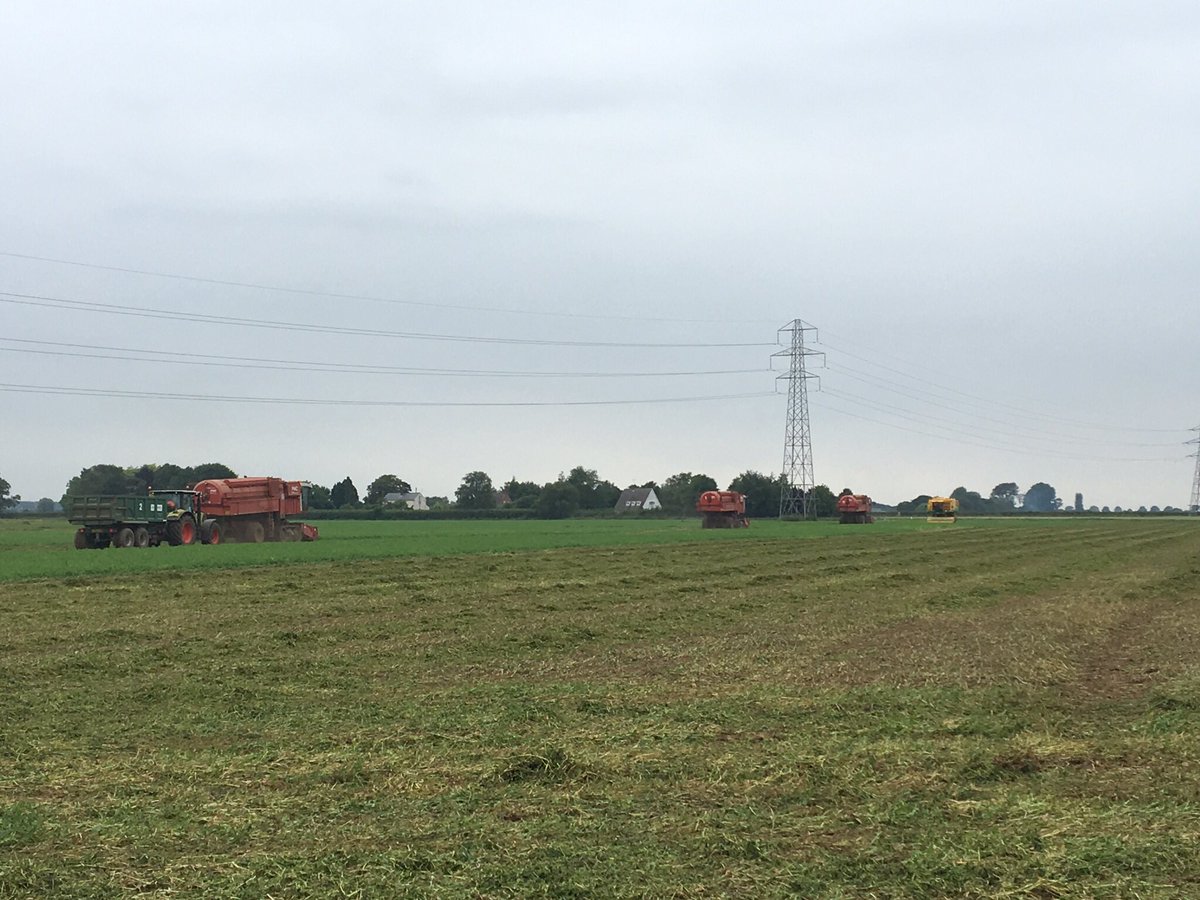 The finest Lincolnshire 150 minute peas being harvested on the farm today, #properspeedypeas <a href="/HMCPeas/">HMC Peas</a>