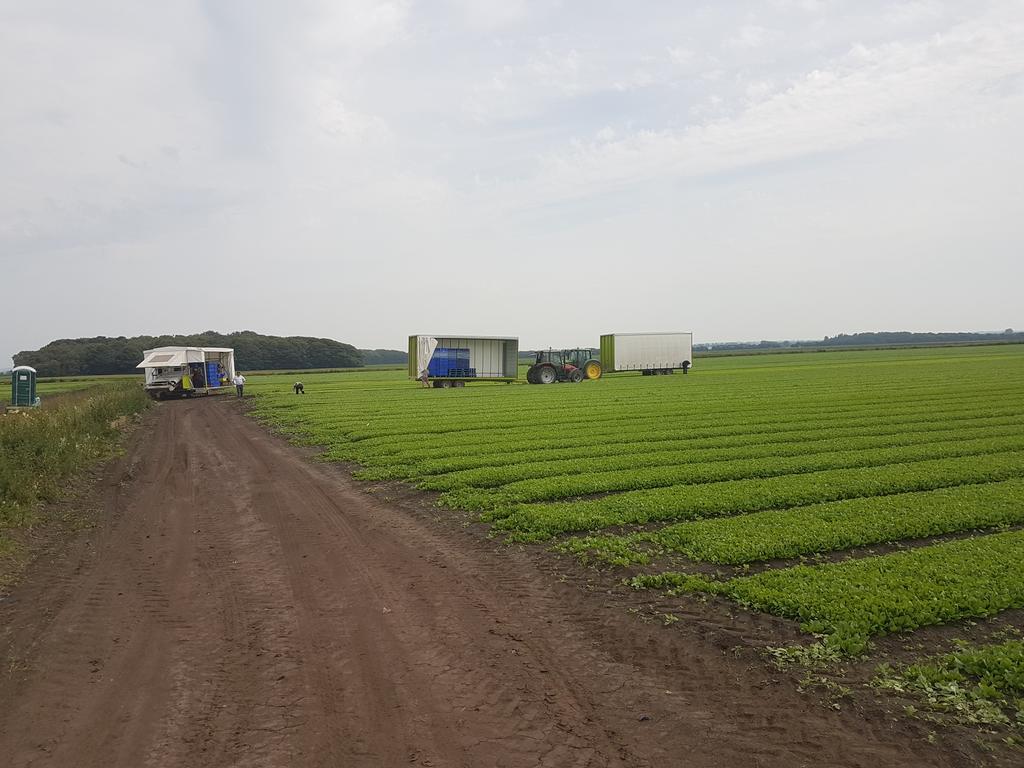 TrowGreg's tweet photo. From the potatoes fields of North Yorkshire, now fields of fresh produce #progessiveyoungfarmer  @natureswayfoods https://t.co/LIdJFTCVcE