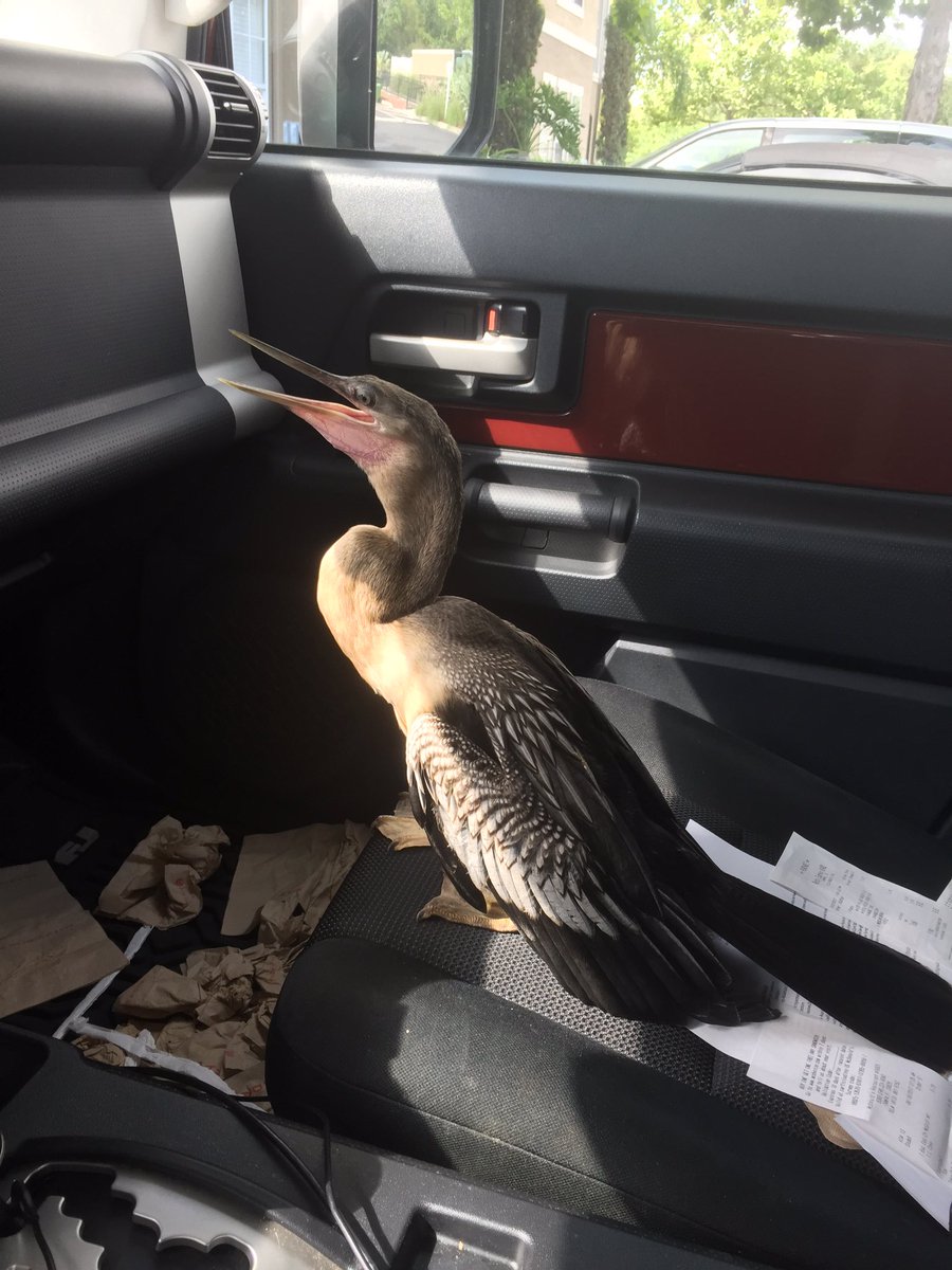 cm_handler's tweet image. Okay so I may have done a thing.