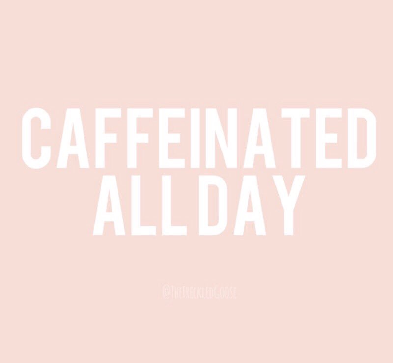 The Freckled Goose tweet media