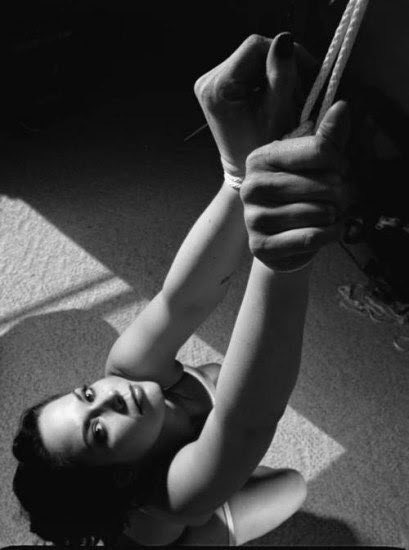 DominantLion's tweet photo. #bdsm #submissive https://t.co/BRyt5qhC9G