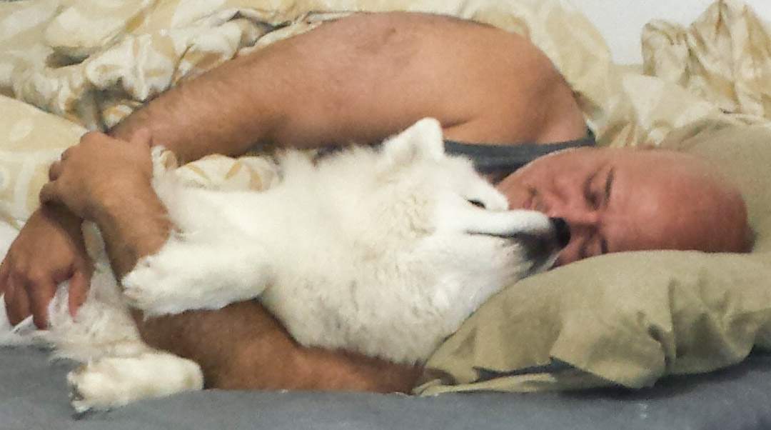 LeoStorm's tweet photo. How I Sleep.. https://t.co/JbtAldhnnQ
