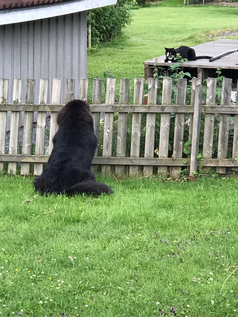 #can we be friends ?