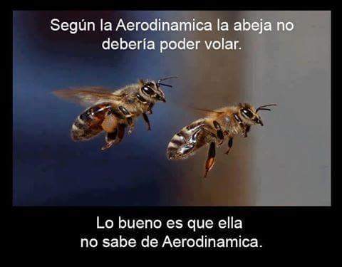 Wikingenieria's tweet photo. https://t.co/VDwPWBUzlq