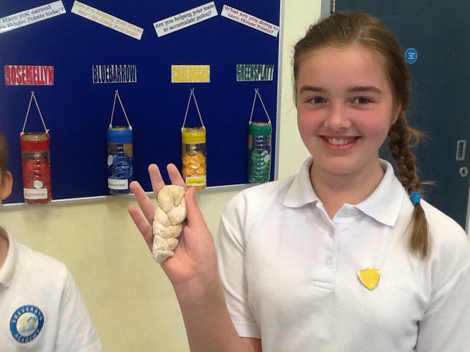 TreverbynYear6 tweet media