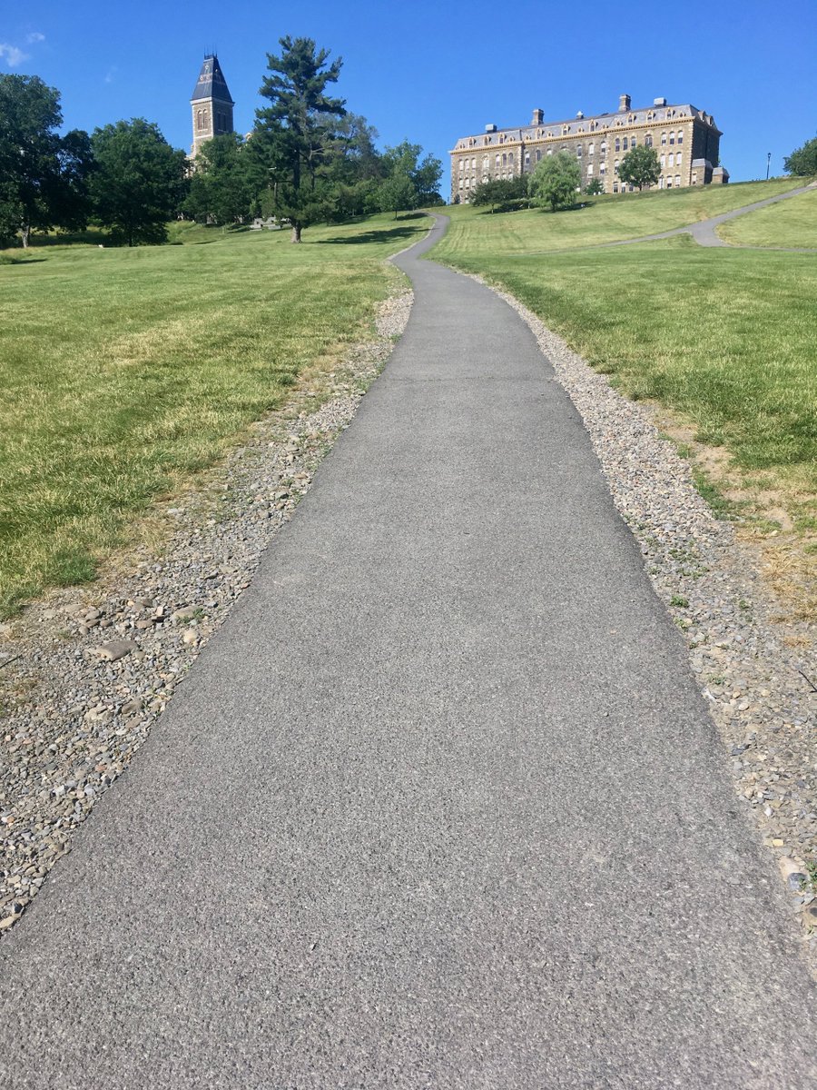 L_Knewstub's tweet photo. Thank you #LibeSlope for kicking my ass during a hill sprint workout. I will say though the view from the top was totally worth it. https://t.co/SKxosfVvY7