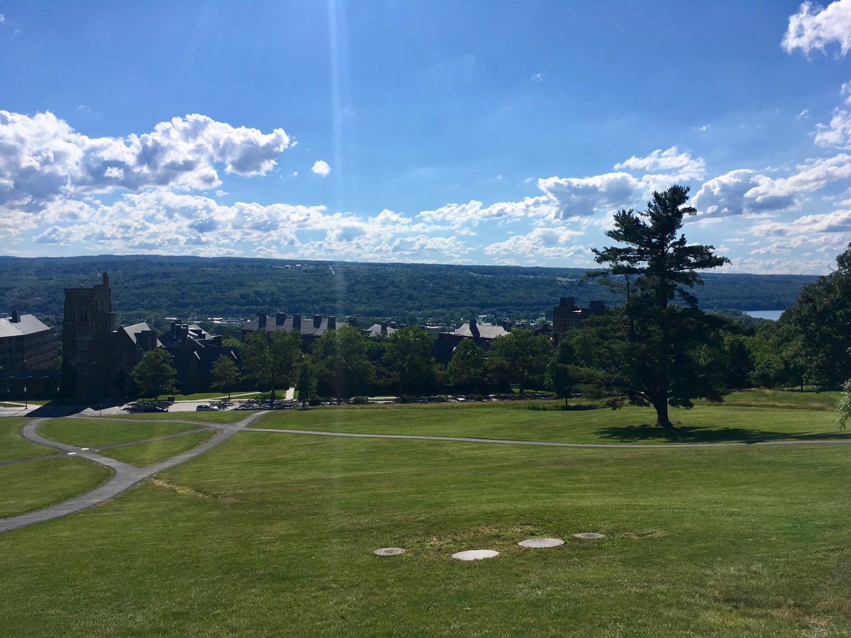 L_Knewstub's tweet photo. Thank you #LibeSlope for kicking my ass during a hill sprint workout. I will say though the view from the top was totally worth it. https://t.co/SKxosfVvY7
