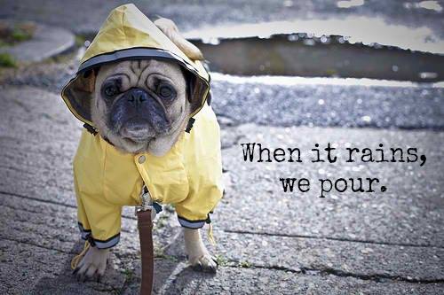 You know the deal. When it rains, we pour. $1 Drafts ALL DAY!
