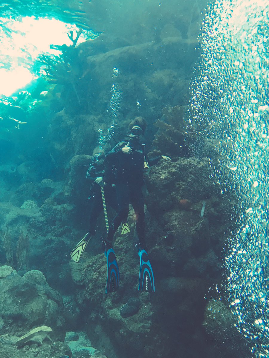 casey_larosa's tweet photo. Shark diving was crazy 🦈 https://t.co/Omc5xwJOlb