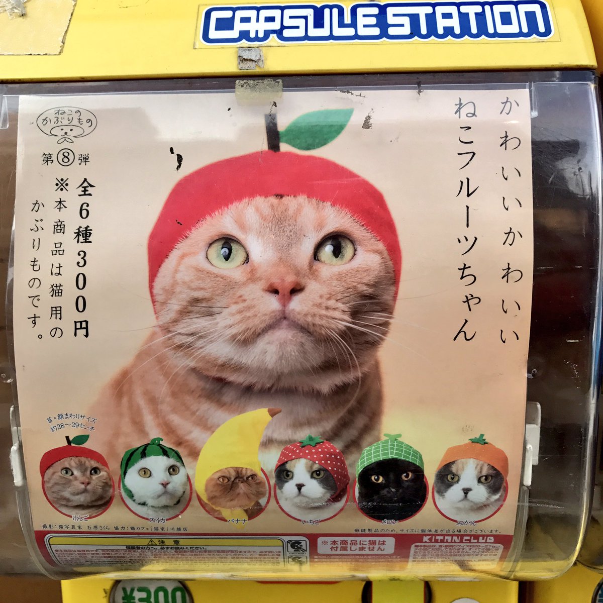 TheKingKogi's tweet photo. Question: Meemers would kill us for getting one of these for him yes/no? https://t.co/tYtS7zqfRi