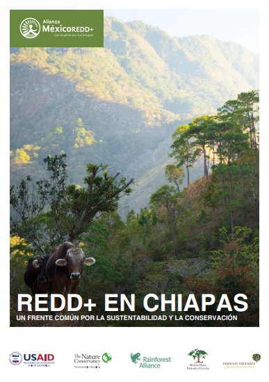 REDD+ en Chiapas, un frente común por la sustentabilidad y la conservación #REDD+ #Chiapas #JuntosporlosBosques bit.ly/2rEHGTM