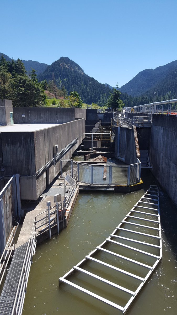 JNMNR1's tweet photo. Post #Fishpassage2017 tour to #BonnevilleDam! #fishpassage #salmon #lamprey @DaniNyqvist https://t.co/Y1Fma79WXx