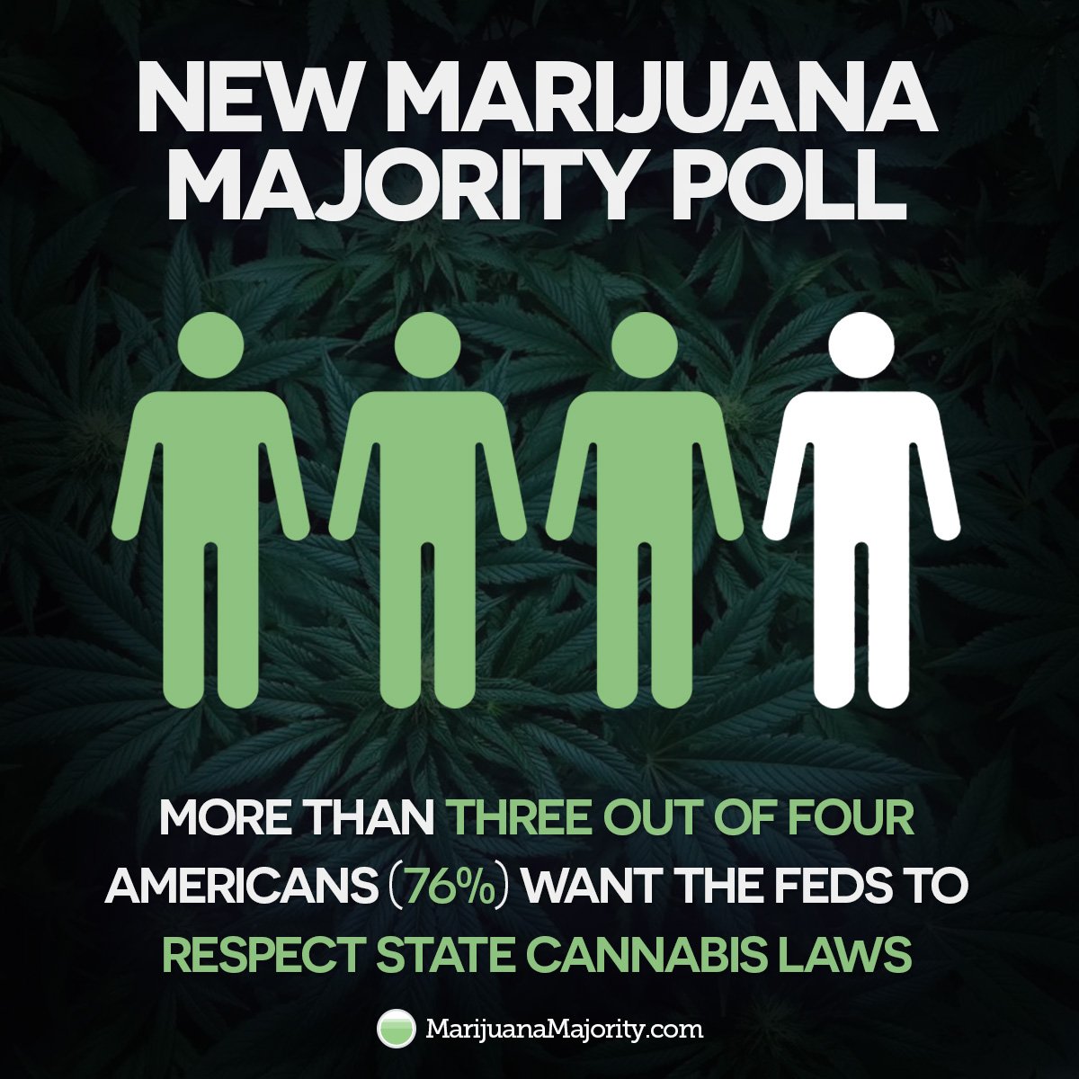 Marijuana Majority tweet media