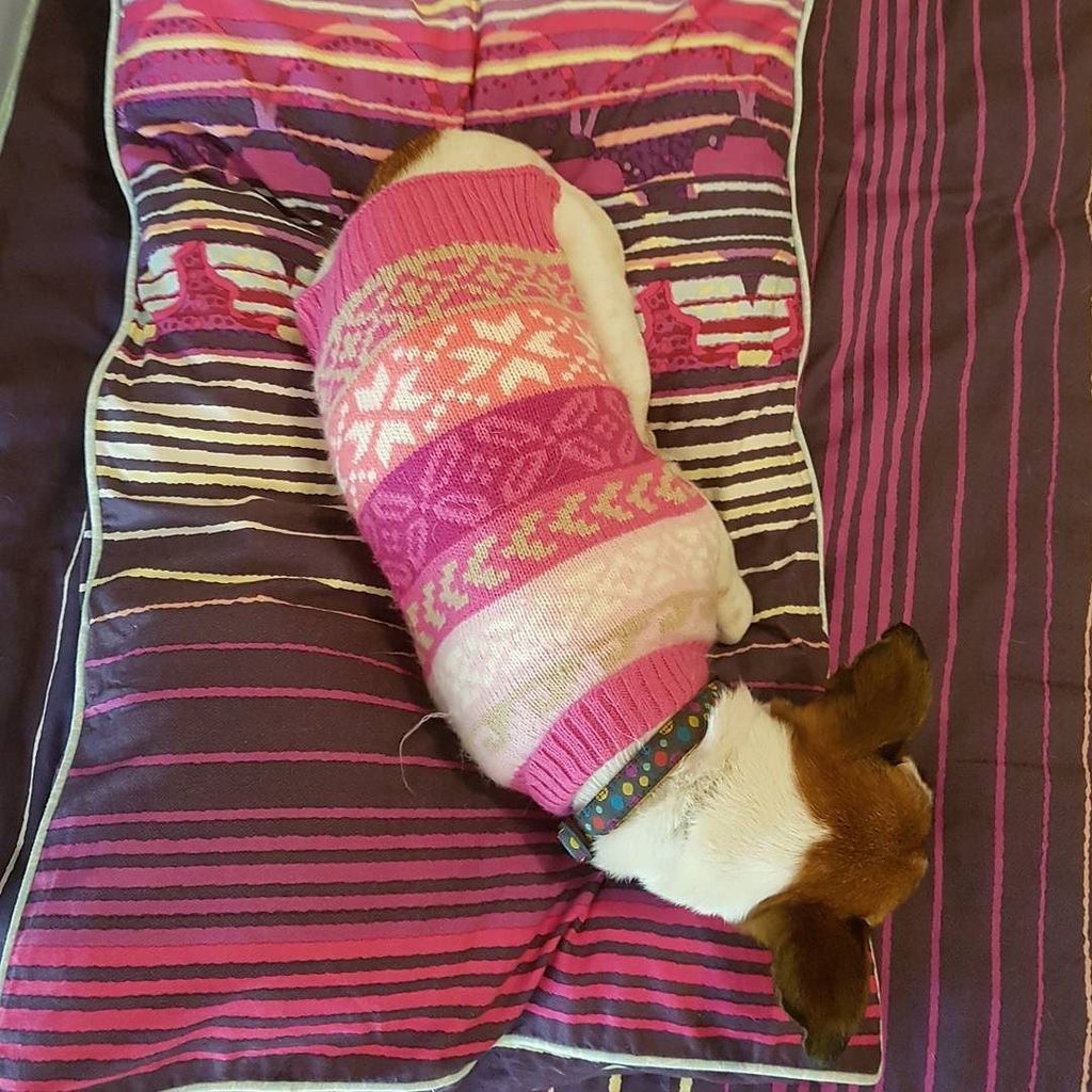 MickyC's tweet image. Camouflage ift.tt/2tTW9YK