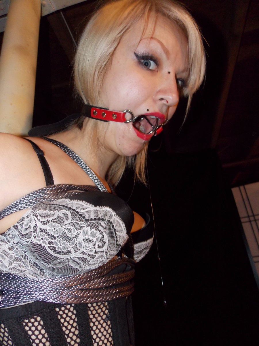Flick_164's tweet photo. Weekly TripSix Fix https://t.co/cCeQiKrpoy