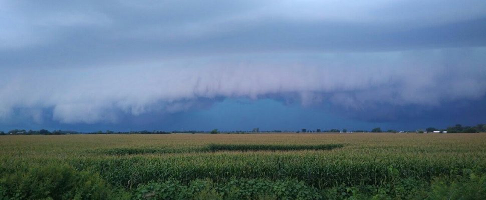 Environment Canada has issued a thunderstorm watch for Sarnia-Lambton. blackburnnews.com/windsor/windso… https://t.co/UeNw5EXOWU