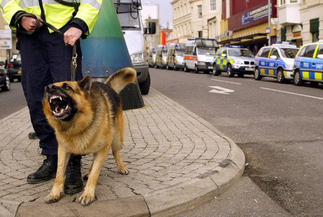 PConResponse's tweet image. Sometimes police dogs can stop a criminal just by intimidation. A low growl from a fierce police dog is pretty scary. #DontDitchTheDogs