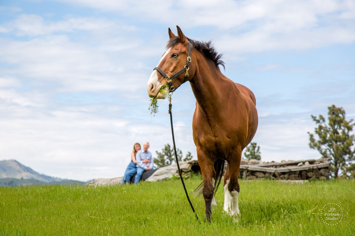 JPPortraits's tweet photo. Um, you've got a little something in your teeth there. ❤️🐴😁

#engagement #love #horses #Wenatchee #Leavenworth #Chelan #weddingphotography https://t.co/WPrpOvLQnZ