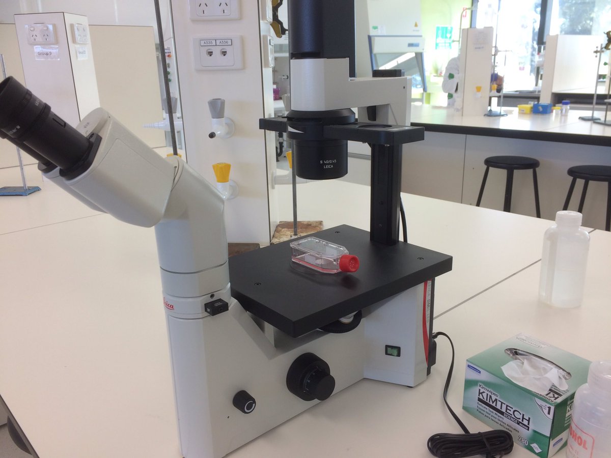 EstherCallcott's tweet photo. Ag Science enrichment day round 2, discussing the health benefits of rice! #grahamcentre #csufgc @ShiwangniRao https://t.co/FWPYGj8YeM