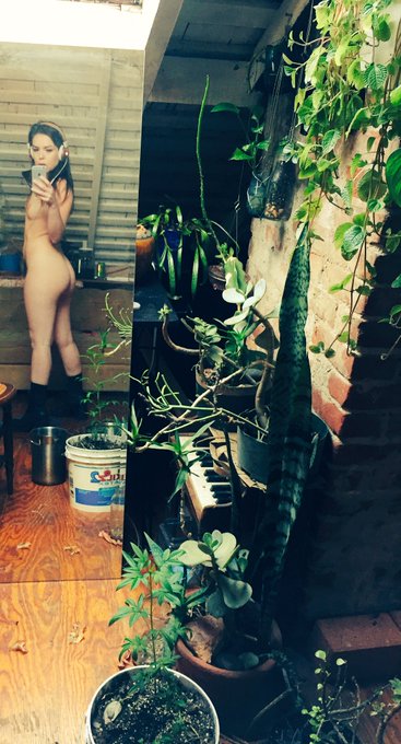 Will suck d for a fancy air conditioner. It's a damn greenhouse in here. https://t.co/NTRX5F6kg8<a href="/tag/newprofilepic"class="tags"><span>#newprofilepic</span></a>
