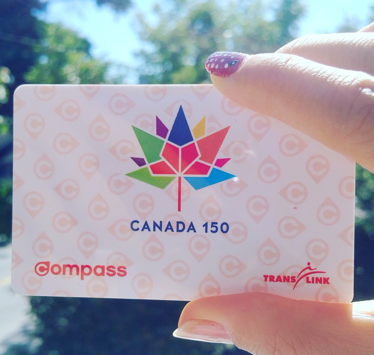 hanxpower's tweet photo. Got myself one of these #specialedition #Canada150 Compass Cards today! #ProudlyCanadian https://t.co/kxhCsBszsF