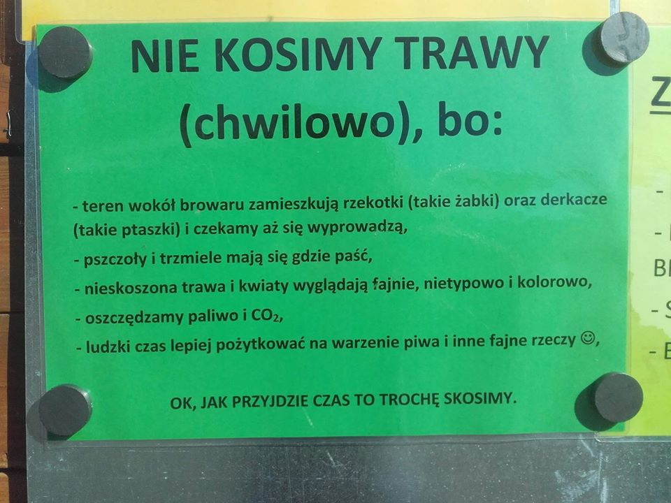 DC9r6RaXcAAn6ad.jpg:large