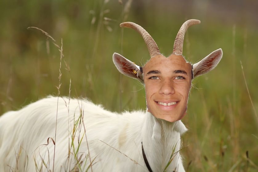 DC9rcPVXUAIGSX7.jpg:large