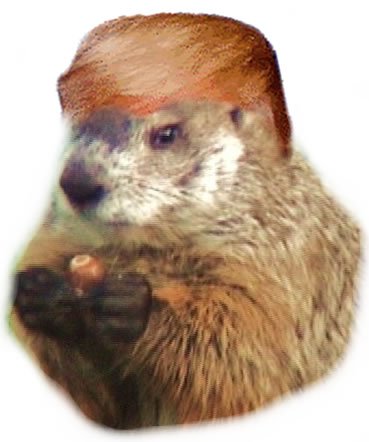 AppletonReginta's tweet image. #Covfefe is a type of animal found on our planet. Here is the picture. Now that this mystery is solved, I hope POTUS can visit our planet.