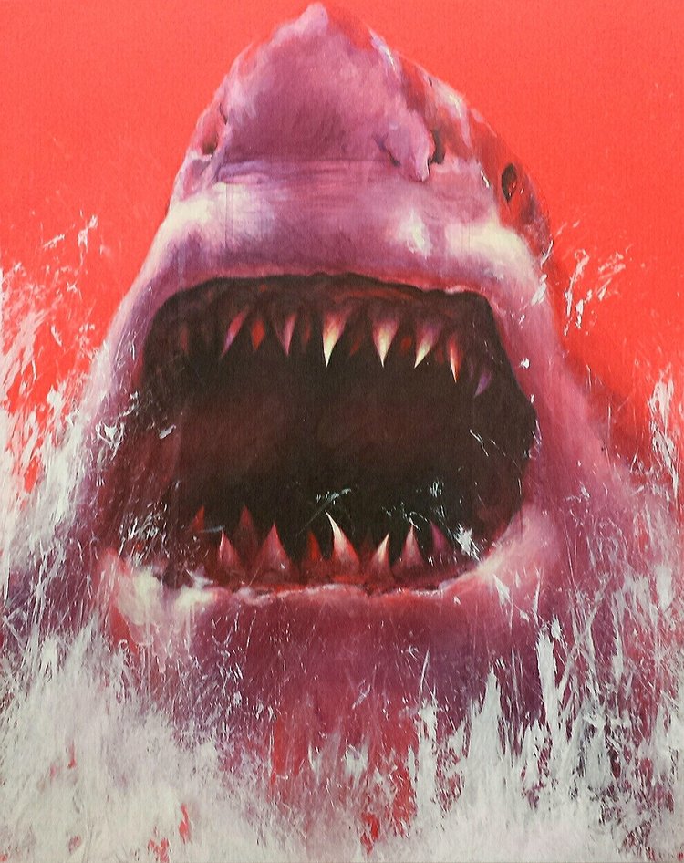 HeavyMetalInk's tweet photo. @sharktoof. Check out more at https://t.co/wH0XQs8Uj5 #sharktoof #SharkWeek #shark #greatwhite https://t.co/sYqbxPh9ke
