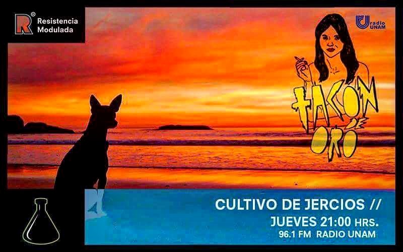 HOY decimos adiós en la <a href="/RModulada/">Resistencia Modulada</a>  de <a href="/RadioUNAM/">Radio UNAM</a>. 9 de la noche en el 96.1 de FM o por internet. Último cotorreo, LQM