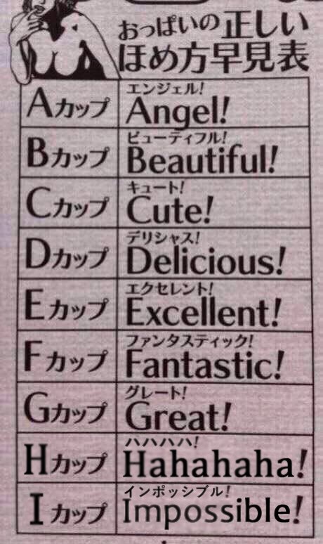 みんなきれいな正しいおっぱいの褒め言葉 Togetter