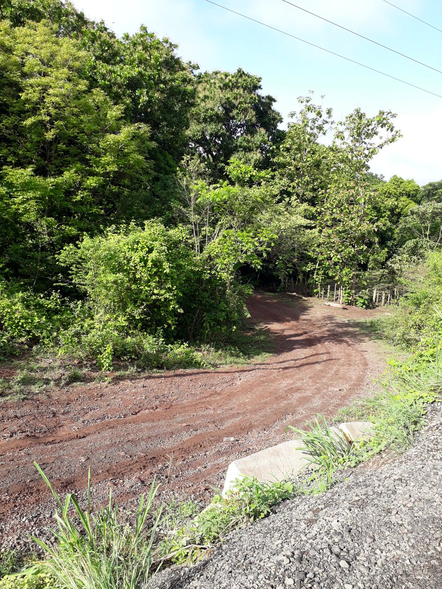 El Cedral en La Mesa de Veraguas un trabajo que "NUNCA SE HIZO"