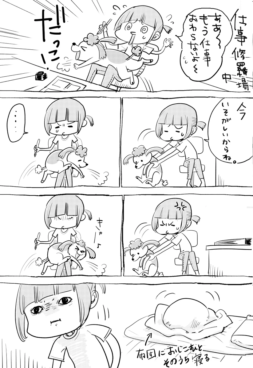 どっちも可愛くて選べない！犬や猫を飼っていると毎日が楽しいw