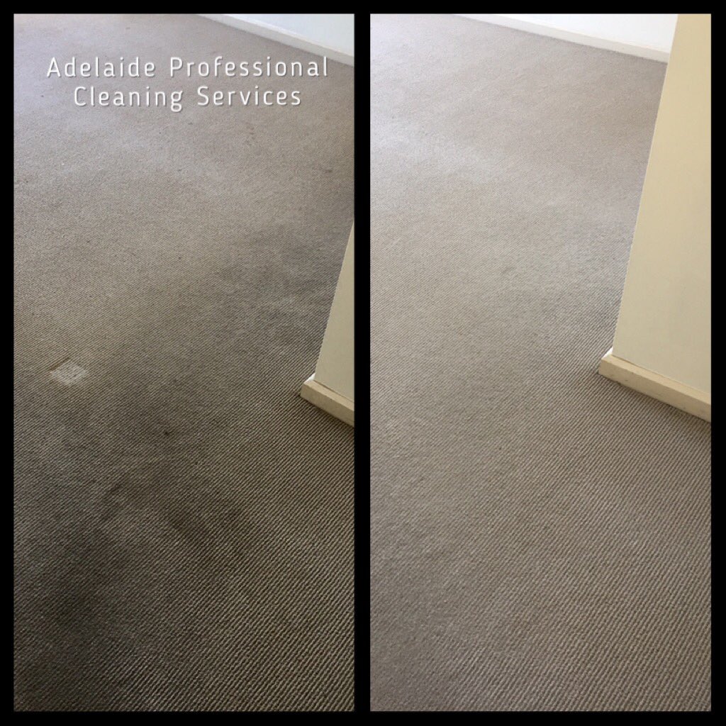 APCS01's tweet photo. Adelaide Professional Cleaning offers professional, reliable and affordable carpet cleaning services. #Adelaide #carpetcleaning #APCS01 https://t.co/NaZaupZjta