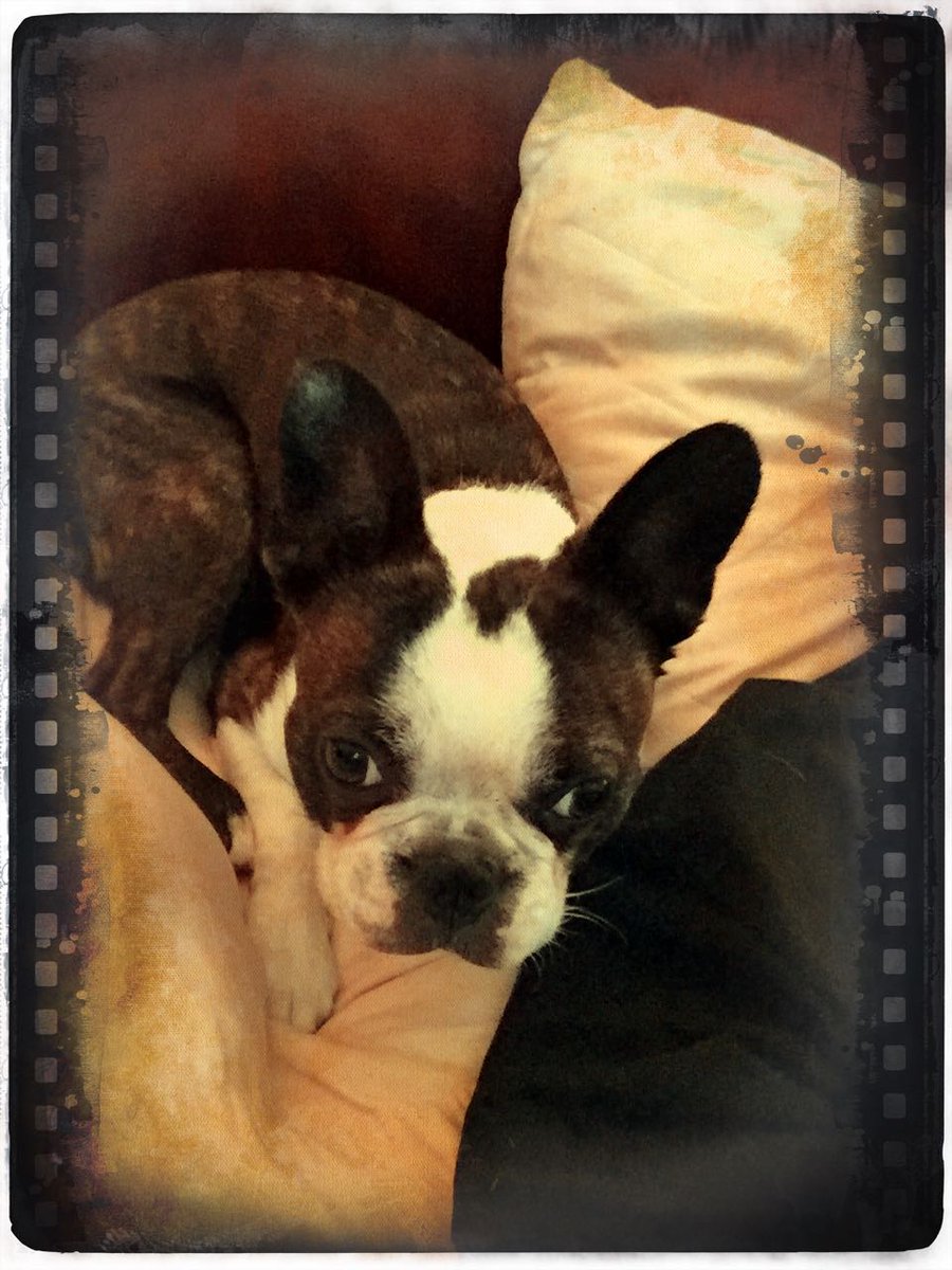 Happyspal's tweet image. #awesomized