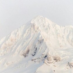 RIPOFWHITE's tweet image. ☆ I got the feeling I can   “   Ｂｒｅａｋ   ”

       𝕆𝕦𝕥 𝕠𝕗 𝕒𝕟𝕪𝕥𝕙𝕚𝕟𝕘 𝕥𝕙𝕒𝕥 𝕚𝕤 𝕤𝕥𝕒𝕟𝕕𝕚𝕟𝕘 𝕚𝕟 𝕞𝕪 𝕨𝕒𝕪.

▶Scroll Down for More Info.