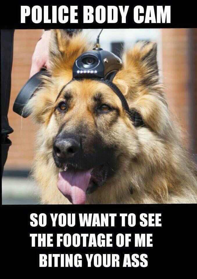OnPatrolNation's tweet photo. #assbiting #livepd #bluepawsmatter 💙 https://t.co/E8xsjbtUxb